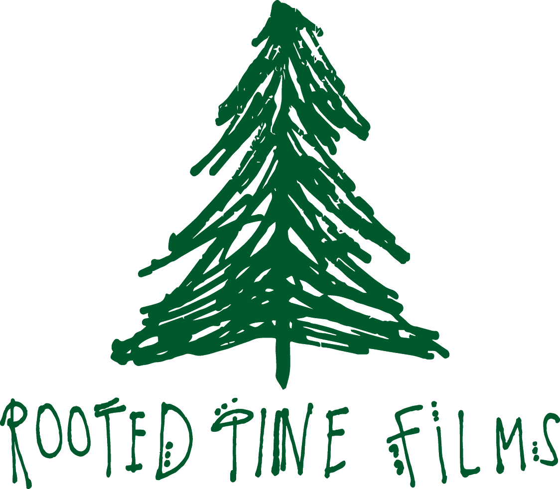 Wedding Videography - Free Transparent PNG Clipart Images Download. - Transparent PNG Free Download