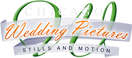 Chicago Wedding Pictures - Wedding - Free Transparent PNG Clipart Images Download. - Transparent PNG Free Download