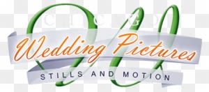 Chicago Wedding Pictures - Wedding - Free Transparent PNG Clipart Images Download. - Transparent PNG Free Download