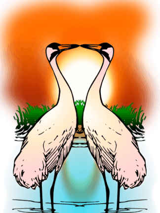 Valessiobrito两个爱鸣鹤剪贴画 - 30th Wedding Anniversary / Aunt And Uncle - Cranes - Free Transparent PNG Clipart Images Download. - Transparent PNG Free Download