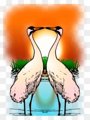 Valessiobrito两个爱鸣鹤剪贴画 - 30th Wedding Anniversary / Aunt And Uncle - Cranes - Free Transparent PNG Clipart Images Download. - Transparent PNG Free Download