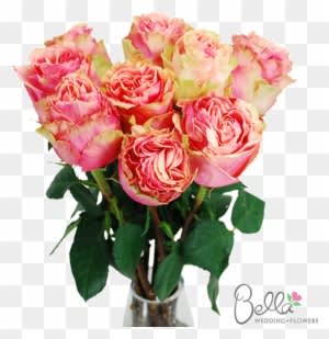 Pink Finesse Garden Roses Are One Of The Newest Hot - Wedding - Free Transparent PNG Clipart Images Download. - Transparent PNG Free Download