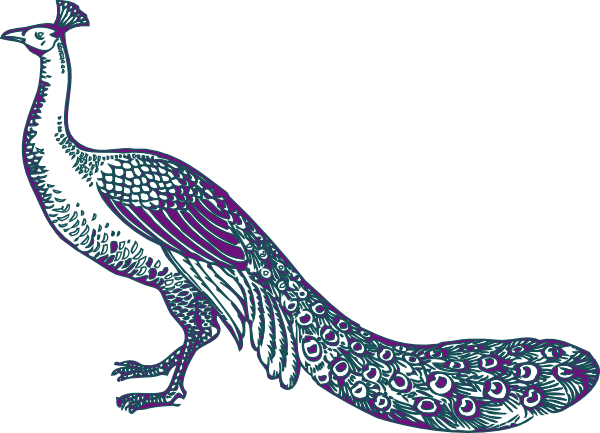 Free Peacock Clipart - Wedding Peacock Clip Art - Free Transparent PNG Clipart Images Download. - Transparent PNG Free Download