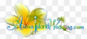 The Hawaiian Wedding Song Hawaiian Lullabye Hanalei - Aloha Island Weddings - Free Transparent PNG Clipart Images Download. - Transparent PNG Free Download