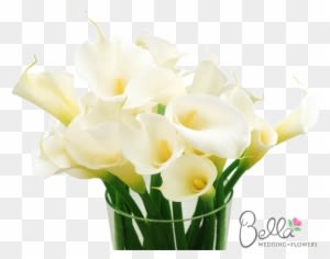 Classic Large White Calla Lily Flowers Are Simply Stunning - Wedding - Free Transparent PNG Clipart Images Download. - Transparent PNG Free Download