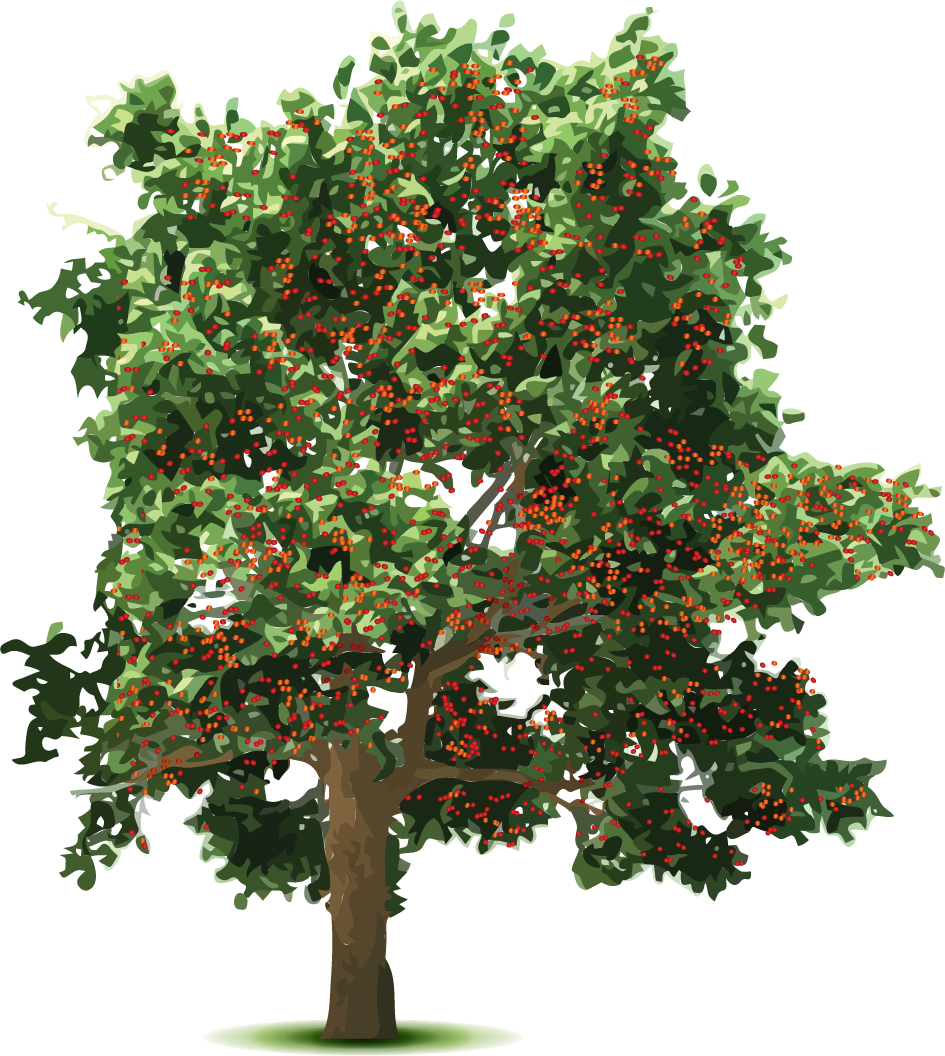 Cherryman's Cherry Growers - Wedding Invitation - Free Transparent PNG Clipart Images Download. - Transparent PNG Free Download