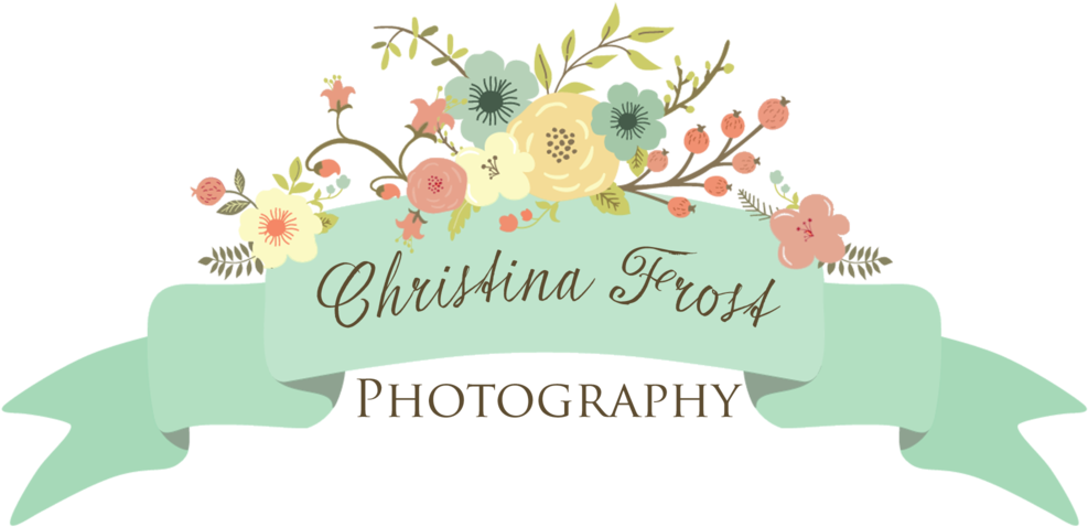 Christina Frost Photography - Wedding - Free Transparent PNG Clipart Images Download. - Transparent PNG Free Download
