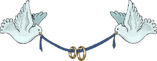 Wedding Dove Png - Congratulations On Your Wedding Gif - Free Transparent PNG Clipart Images Download. - Transparent PNG Free Download