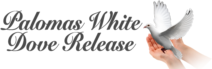 Wedding In White (1972) - Free Transparent PNG Clipart Images Download. - Transparent PNG Free Download