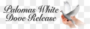 Wedding In White (1972) - Free Transparent PNG Clipart Images Download. - Transparent PNG Free Download
