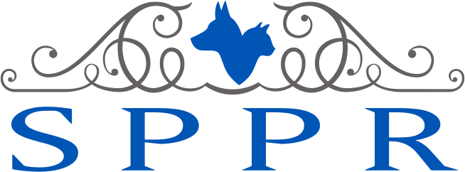 30 Am - Royal Wedding Menu Lunch - Free Transparent PNG Clipart Images Download. - Transparent PNG Free Download