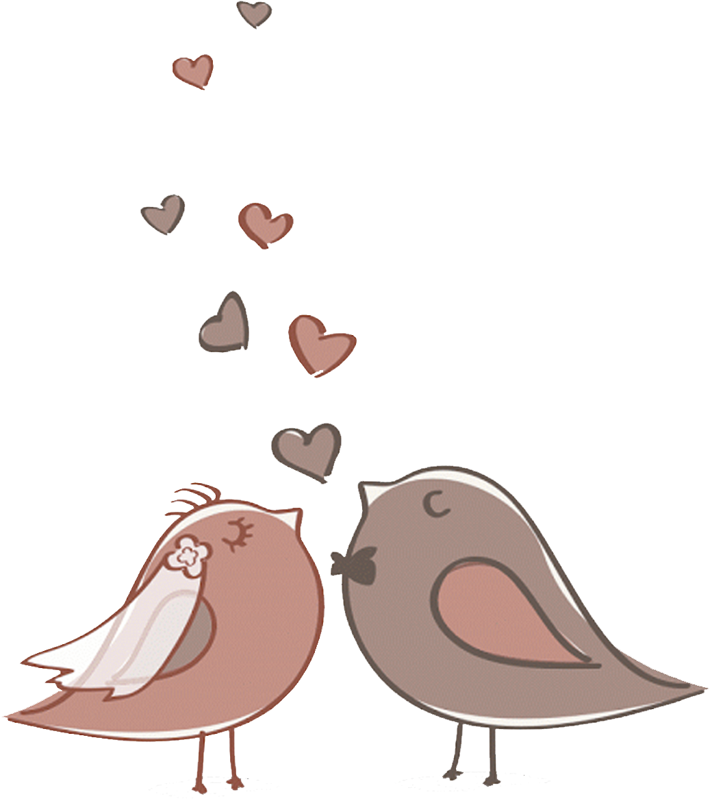 Casal De Passarinho Png - Cute Bird Vector Wedding - Free Transparent PNG Clipart Images Download. - Transparent PNG Free Download