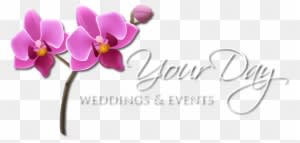 Las Vegas Nevada Wedding Planner - Your Day Weddings & Events, Inc. - Free Transparent PNG Clipart Images Download. - Transparent PNG Free Download
