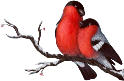 Love Birds Silhouette Png Gallery Images And Information - Wedding - Free Transparent PNG Clipart Images Download. - Transparent PNG Free Download