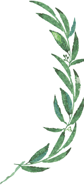 Mckenzie Botanicals - Wedding - Free Transparent PNG Clipart Images Download. - Transparent PNG Free Download