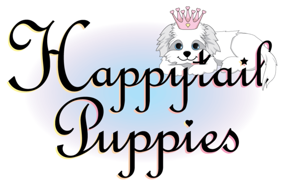 Labradoodle Puppies For Sale In North Carolina - Happy Wedding Marriage Anniversary - Free Transparent PNG Clipart Images Download. - Transparent PNG Free Download