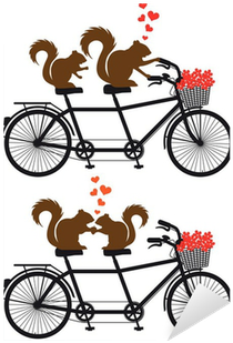 Squirrels In Love On Bicycle, Vector Sticker • Pixers® - Wedding Tandem Bike Clipart - Free Transparent PNG Clipart Images Download. - Transparent PNG Free Download