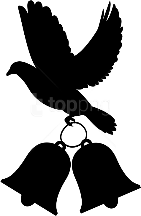 Free Png Download Dove Wedding Decoration Clipart Png - Wedding Clipart Png - Free Transparent PNG Clipart Images Download. - Transparent PNG Free Download