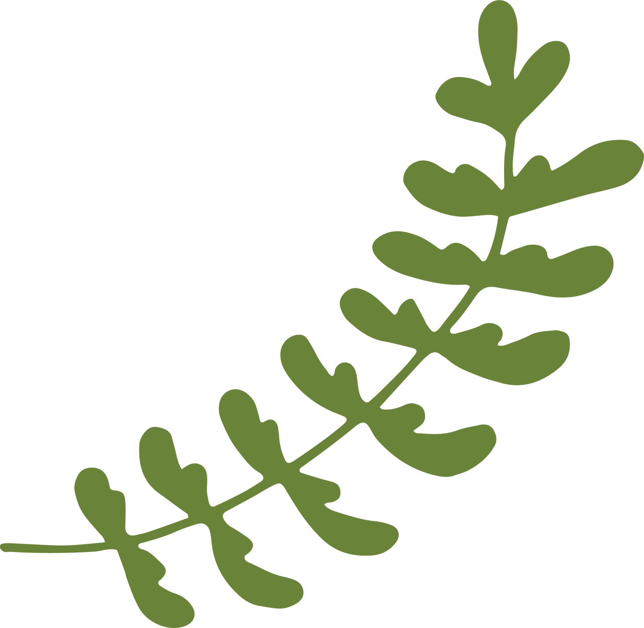 Wedding Leaves Svg Cut File - Wedding Leaves Svg - Free Transparent PNG Clipart Images Download. - Transparent PNG Free Download