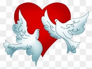 Columbidae Wedding Doves As Symbols Clip Art - Columbidae Wedding Doves As Symbols Clip Art - Free Transparent PNG Clipart Images Download. - Transparent PNG Free Download