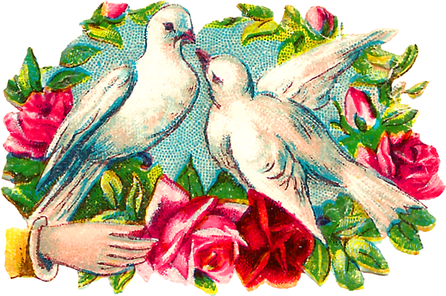 The Colorful Romantic Clipart Images Of Pairs Of Doves - Garden Roses - Free Transparent PNG Clipart Images Download. - Transparent PNG Free Download