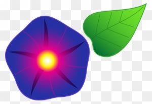 Flourish Clipart Morning Glory Vine Clipart Sweet Pea - Morning Glory Cartoon Flower - Free Transparent PNG Clipart Images Download. - Transparent PNG Free Download