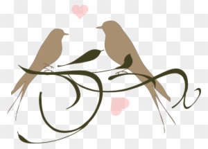 Wedding Birds Clipart Love Clip Art At Clker Com Vector - Clip Art Love Birds - Free Transparent PNG Clipart Images Download. - Transparent PNG Free Download