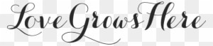 Wait To Host Weddings On Our Beautiful Farm Our Family's - Love Grows Here Png - Free Transparent PNG Clipart Images Download. - Transparent PNG Free Download