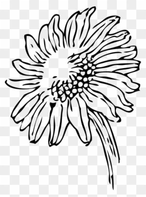 Elegant Wedding Cliparts 28, Buy Clip Art - Sunflowers Clip Art Black And White - Free Transparent PNG Clipart Images Download. - Transparent PNG Free Download