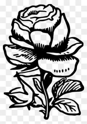 Wedding Flourish Cliparts 20, Buy Clip Art - Gambar Bunga Mawar Hitam Putih - Free Transparent PNG Clipart Images Download. - Transparent PNG Free Download