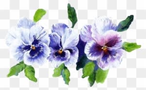 Pansies, Art Flowers, Vintage Cards, Wedding Invitation, - Bon Week End - Free Transparent PNG Clipart Images Download. - Transparent PNG Free Download