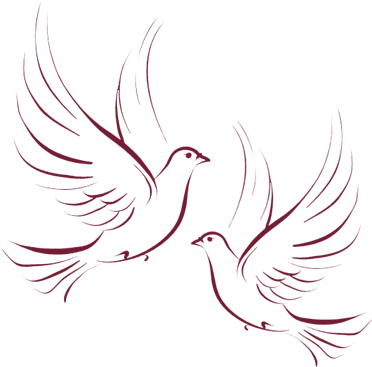Descending Dove Clipart Free Clipart Images - Dove - Free Transparent PNG Clipart Images Download. - Transparent PNG Free Download