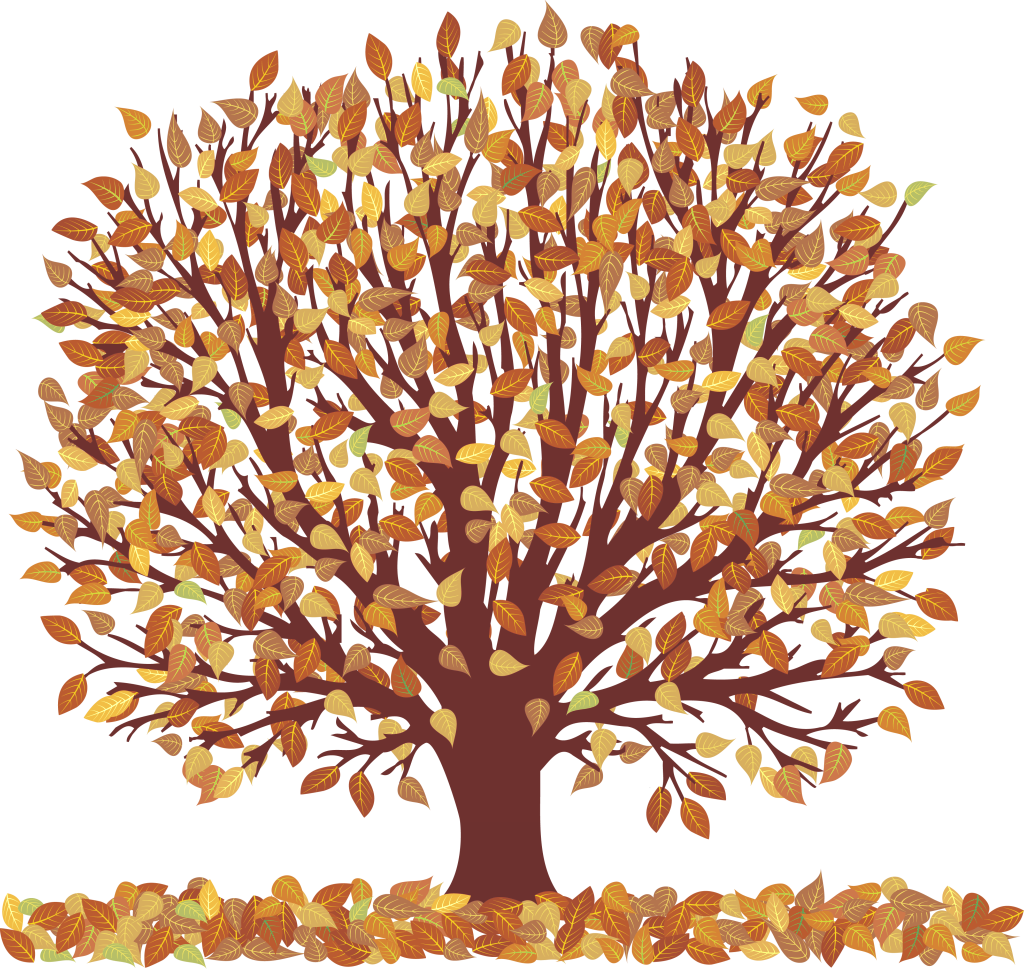Watercolor Fall Flower Clipart Fall Wedding Floral - Tree With Falling Leaves Clip Art - Free Transparent PNG Clipart Images Download. - Transparent PNG Free Download