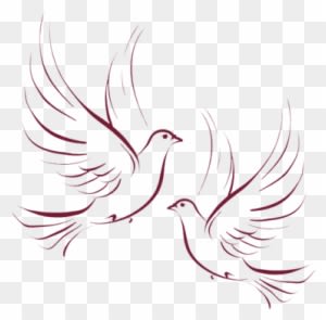 Descending Dove Clipart Free Clipart Images - Dove - Free Transparent PNG Clipart Images Download. - Transparent PNG Free Download