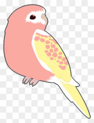 Love Birds For Wedding Cliparts - Transparent Bird - Free Transparent PNG Clipart Images Download. - Transparent PNG Free Download