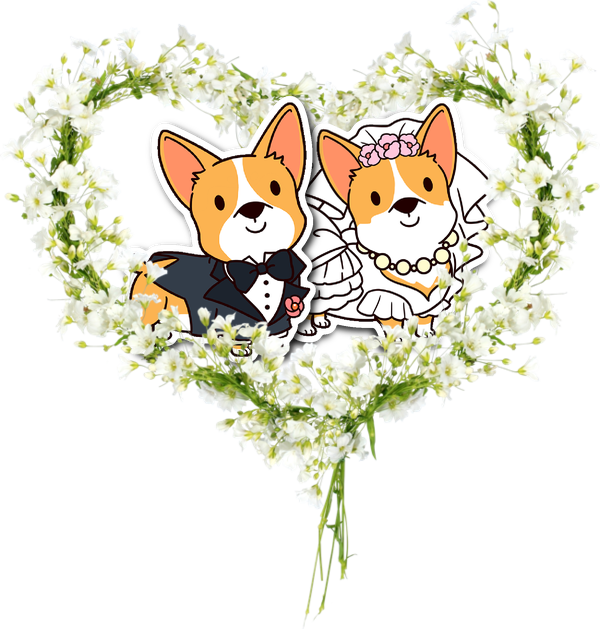 Aubrie Anderson And Curtis Chapman Wedding - Heart - Free Transparent PNG Clipart Images Download. - Transparent PNG Free Download