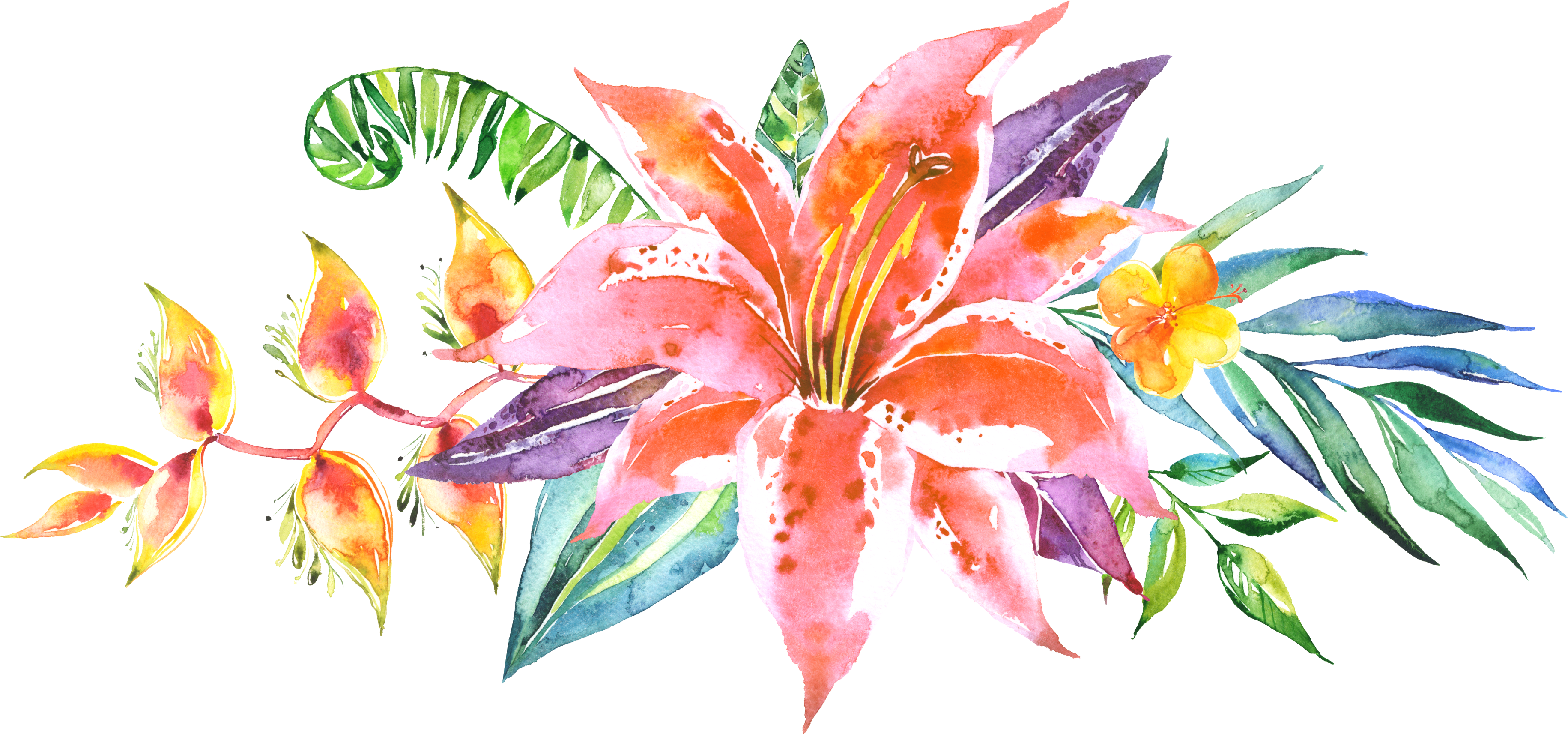 Floral Pattern Vector, Floral Patterns, Flower Line - Watercolor Flowers Line Png - Free Transparent PNG Clipart Images Download. - Transparent PNG Free Download