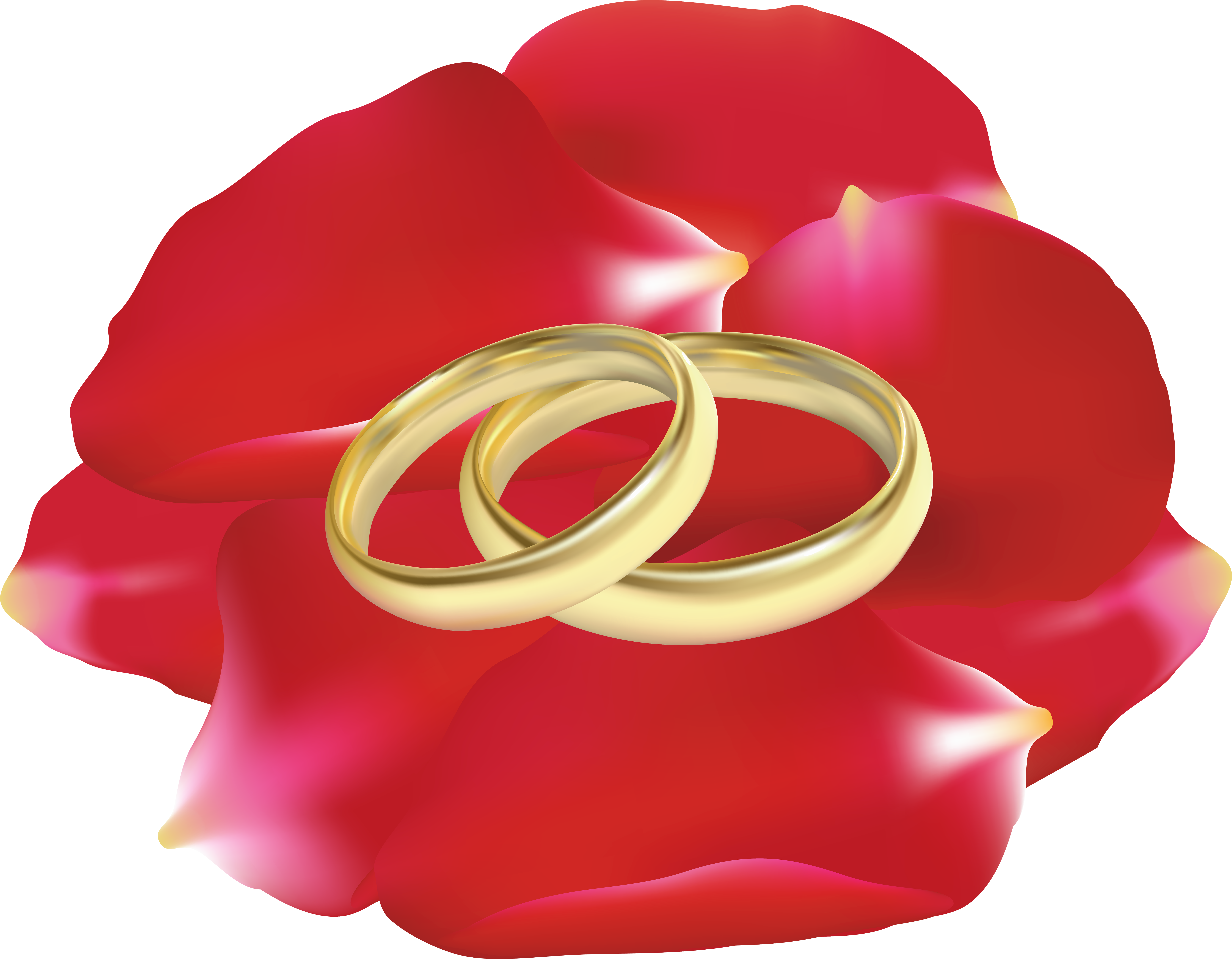 Wedding Rings In Rose Petals Png Clip Art - Wedding Rings In Rose Petals Png Clip Art - Free Transparent PNG Clipart Images Download. - Transparent PNG Free Download