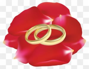 Wedding Rings In Rose Petals Png Clip Art - Wedding Rings In Rose Petals Png Clip Art - Free Transparent PNG Clipart Images Download. - Transparent PNG Free Download
