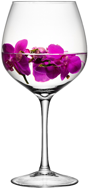Little Rock Venues And Wedding Receptions - Lsa International Lsa Wine Glass H39cm - Free Transparent PNG Clipart Images Download. - Transparent PNG Free Download