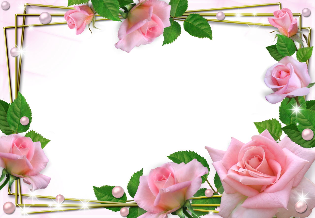 Attractive Beautiful Flower Frame Pattern - Beautiful Photo Frame Png - Free Transparent PNG Clipart Images Download. - Transparent PNG Free Download
