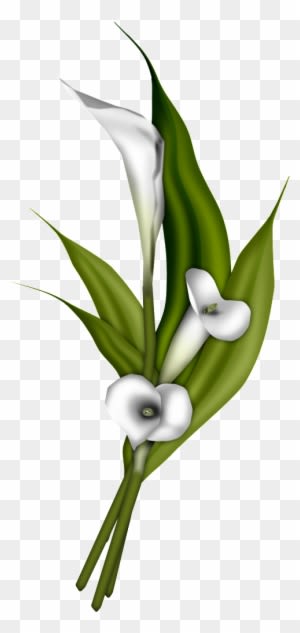 Photobucket Wedding Doves Cake Ideas And Designs - Photobucket Wedding Doves Cake Ideas And Designs - Free Transparent PNG Clipart Images Download. - Transparent PNG Free Download