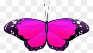 Wedding Clip Art - Pink Butterfly Clip Art - Free Transparent PNG Clipart Images Download. - Transparent PNG Free Download