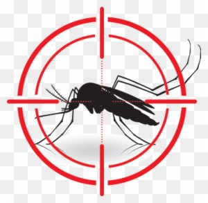 Don't Let Biting Insects Steal Your Party, Whether - Mosquito Vector - Free Transparent PNG Clipart Images Download. - Transparent PNG Free Download