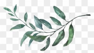 Mocha Tree Studios Ottawa Wedding And Engagement Photographer - Trio De Quadros De Folhagens, Marrom Claro C/ Vidro, - Free Transparent PNG Clipart Images Download. - Transparent PNG Free Download