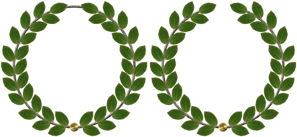 25 Wedding Anniversary Cliparts - Michigan State Greek Week - Free Transparent PNG Clipart Images Download. - Transparent PNG Free Download