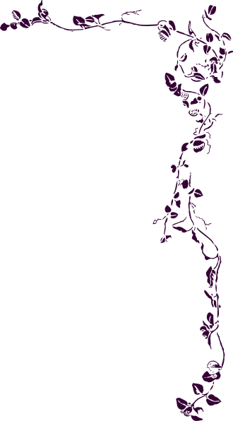 Rustic Wedding Borders Clipart - My Name Is Baylee - Free Transparent PNG Clipart Images Download. - Transparent PNG Free Download