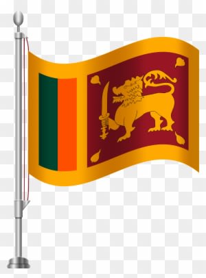 Wedding Money Trees Download - Wedding Money Trees Download - Free Transparent PNG Clipart Images Download. - Transparent PNG Free Download