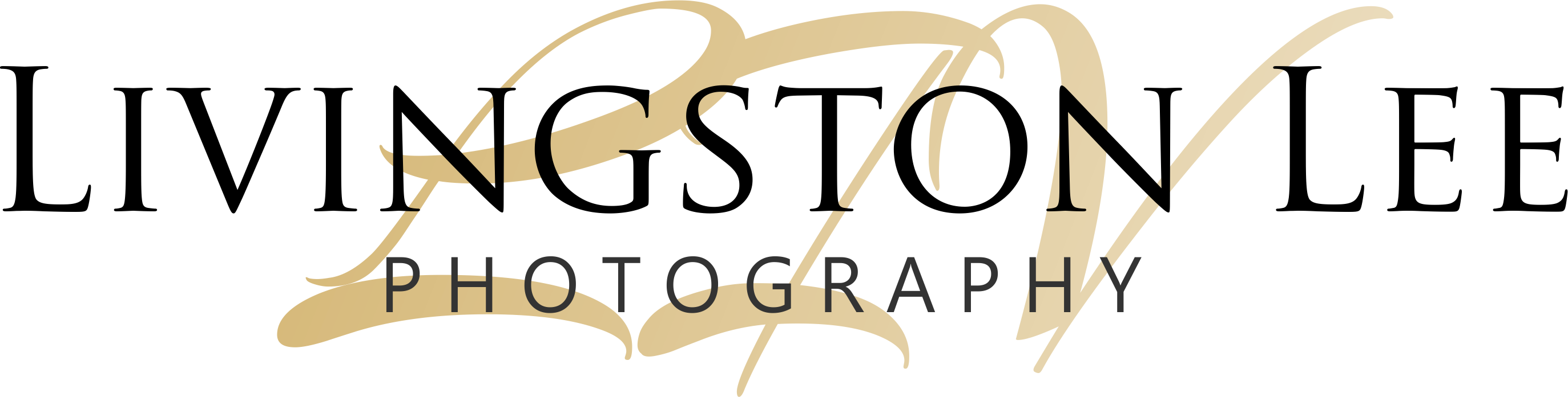 Livingston Lee Wedding Photography - Bill And Melinda Gates Foundation - Free Transparent PNG Clipart Images Download. - Transparent PNG Free Download