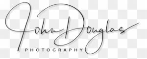 John Douglas Photography Michigan Wedding Photographer - John Douglas Photography - Free Transparent PNG Clipart Images Download. - Transparent PNG Free Download